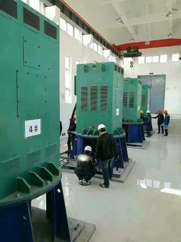 晋江某污水处理厂使用我厂的立式高压电机安装现场哪家好