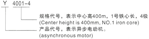 西安泰富西玛Y系列(H355-1000)高压晋江三相异步电机型号说明